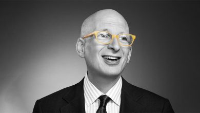 seth godin